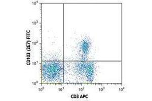 Flow Cytometry (FACS) image for anti-Integrin, alpha E (Antigen CD103, Human Mucosal Lymphocyte Antigen 1, alpha Polypeptide) (ITGAE) antibody (FITC) (ABIN2661454) (CD103 抗体  (FITC))