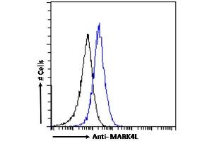 (ABIN184722) Flow cytometric analysis of paraformaldehyde fixed A431 cells (blue line), permeabilized with 0. (MARK4 抗体  (C-Term))