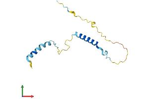 Protein Structure (PS) image for Purkinje Cell Protein 2 (PCP2) (AA 1-120) protein (His tag) (ABIN7562850)
