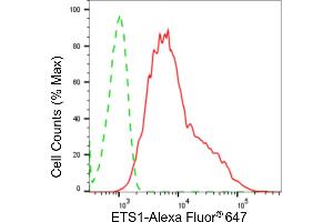 anti-V-Ets erythroblastosis Virus E26 Oncogene Homolog 1 (Avian) (ETS1) antibody