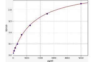 SP1 ELISA 试剂盒