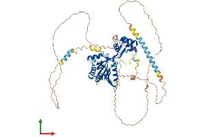 Protein Structure (PS) image for Family with Sequence Similarity 83, Member D (FAM83D) (AA 1-585) protein (His tag) (ABIN7561087)