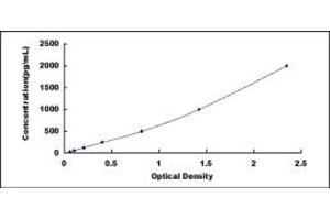 Typical standard curve (LGALS12 ELISA 试剂盒)