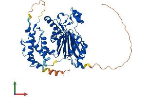 AlphaFold protein structure predicition of Mouse Recombinant Ppm1f Protein, UniprotID Q8CGA0 (PPM1F Protein (AA 1-452) (His tag))