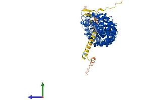Protein Structure (PS) image for Karyopherin alpha 6 (Importin alpha 7) (KPNA6) (AA 1-536) protein (His tag) (ABIN7562304)