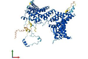 Protein Structure (PS) image for MAK10 Homolog, Amino-Acid N-Acetyltransferase Subunit (MAK10) (AA 1-725) protein (His tag) (ABIN7549632)