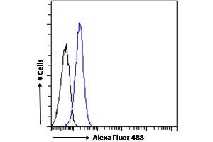 Flow Cytometry (FACS) image for anti-Vav 3 Oncogene (VAV3) (Internal Region) antibody (ABIN185278)