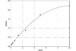 Dihydrolipoyl Transacetylase (DLAT) ELISA Kit