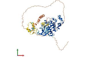 Protein Structure (PS) image for Cyclin-Dependent Kinase 17 (CDK17) (AA 1-523) protein (His tag) (ABIN7553062)