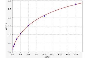 Typical standard curve (Hsc70 ELISA 试剂盒)