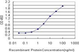 Detection limit for recombinant GST tagged DHX8 is approximately 0. (DHX8 抗体  (AA 301-400))
