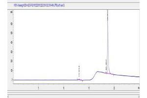 Image no. 1 for Tumor Protein P63 (TP63) peptide (Ovalbumin) (ABIN5666395) (Tumor Protein P63 (TP63) peptide (Ovalbumin))