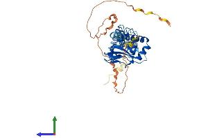 Protein Structure (PS) image for Popeye Domain Containing 2 (POPDC2) (AA 1-367) protein (His tag) (ABIN7561460)