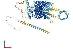 AlphaFold protein structure predicition of Human Recombinant SV2C Protein, UniprotID Q496J9 (SV2C Protein (AA 1-727) (His tag))
