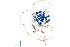 AlphaFold protein structure predicition of Human Recombinant USP6NL Protein, UniprotID Q92738 (USP6NL Protein (AA 1-828) (His tag))