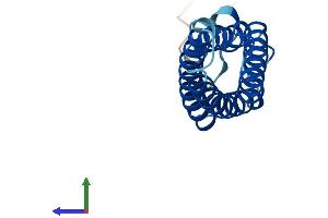 Protein Structure (PS) image for Myelin and Lymphocyte Protein, T Cell Differentiation Protein (MAL) (AA 1-153) protein (His tag) (ABIN7562257)