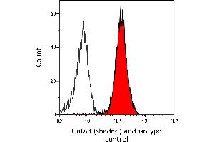 anti-GATA Binding Protein 3 (GATA3) (AA 150-200) antibody