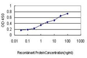 Detection limit for recombinant GST tagged STK6 is approximately 0. (Aurora A 抗体  (AA 1-110))