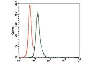 Image no. 2 for anti-BPI Fold Containing Family A, Member 2 (BPIFA2) antibody (ABIN1490989) (BPIFA2 抗体)
