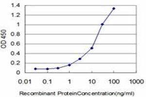 ELISA image for anti-E74-Like Factor 3 (Ets Domain Transcription Factor, Epithelial-Specific) (ELF3) (AA 262-371) antibody (ABIN515249)