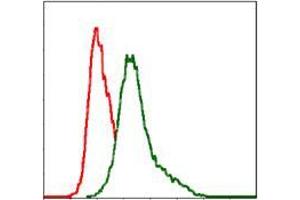 Flow cytometric analysis of MCF-7 cells using ITGB mouse mAb (green) and negative control (red). (ITGB1 抗体)