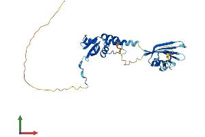 Protein Structure (PS) image for Potassium Channel Tetramerisation Domain Containing 15 (KCTD15) (AA 1-283) protein (His tag) (ABIN7559431)