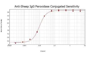 ELISA results of purified Rabbit anti-Sheep IgG Antibody Peroxidase Conjugated tested against purified Sheep IgG. (兔 anti-绵羊 IgG (Heavy & Light Chain) Antibody (HRP))