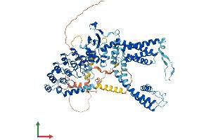 Protein Structure (PS) image for Transient Receptor Potential Cation Channel, Subfamily V, Member 6 (TRPV6) (AA 1-767) protein (His tag) (ABIN7564796)