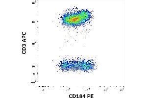 Flow cytometry multicolor surface staining of human peripheral whole blood stained using anti-human CD184 (12G5) PE antibody (10 μL reagent / 100 μL of peripheral whole blood) and anti-human CD3 (UCHT1) APC antibody (10 μL reagent / 100 μL of peripheral whole blood). (CXCR4 抗体  (PE))