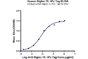 Immobilized Human Siglec-15, hFc Tag at 0. (SIGLEC15 Protein (AA 24-260) (Fc Tag))
