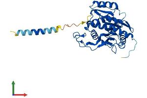 Protein Structure (PS) image for UDP-Gal:betaGlcNAc beta 1,3-Galactosyltransferase, Polypeptide 5 (B3GALT5) (AA 1-310) protein (His tag) (ABIN7552525)