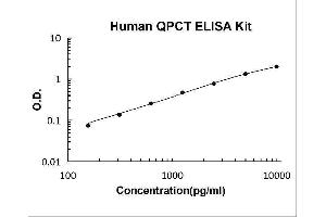 Glutaminyl-Peptide Cyclotransferase (QPCT) ELISA Kit