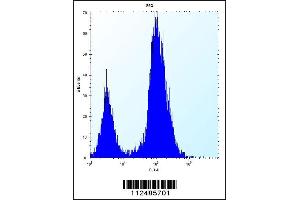 Flow Cytometry (FACS) image for anti-Secretagogin, EF-Hand Calcium Binding Protein (SCGN) (AA 54-84), (N-Term) antibody (ABIN5534677)