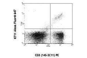 Flow Cytometry (FACS) image for anti-TCR V beta 11 antibody (Alexa Fluor 647) (ABIN2658017) (TCR V beta 11 抗体 (Alexa Fluor 647))
