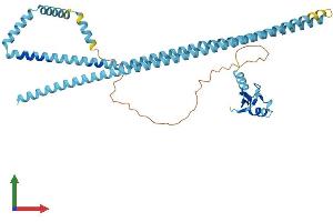 Protein Structure (PS) image for Ring Finger Protein 26 (RNF26) (AA 1-433) protein (His tag) (ABIN7551472)