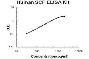 Human SCF PicoKine ELISA Kit standard curve (KIT Ligand ELISA 试剂盒)