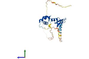 Protein Structure (PS) image for Nascent Polypeptide Associated Complex alpha 1 (NACa1) (AA 1-215) protein (His tag) (ABIN7549683)