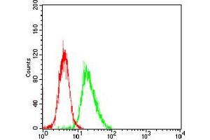 Flow cytometric analysis of NIH/3T3 cells using HH3 mouse mAb (green) and negative control (red). (Prokineticin Receptor 2 抗体  (AA 121-136))