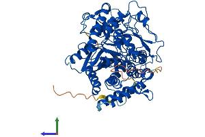 Protein Structure (PS) image for Glutamate-Cysteine Ligase, Catalytic Subunit (GCLC) (AA 1-637) protein (His tag) (ABIN7556819)