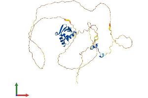 Protein Structure (PS) image for ELK4, ETS-Domain Protein (SRF Accessory Protein 1) (ELK4) (AA 1-430) protein (His tag) (ABIN7563225)
