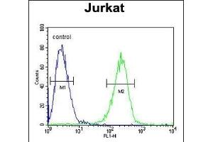 Flow Cytometry (FACS) image for anti-Hydroxyacyl-CoA Dehydrogenase/3-Ketoacyl-CoA Thiolase/enoyl-CoA Hydratase (Trifunctional Protein), beta Subunit (HADHB) (AA 315-342), (C-Term) antibody (ABIN653816)