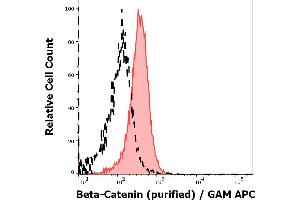 Separation of MCF-7 cells stained using anti-beta-Catenin (EM-22) purified antibody (concentration in sample 9 μg/mL, GAM APC, red-filled) from MCF-7 cells unstained by primary antibody (GAM APC, black-dashed) in flow cytometry analysis (intracellular staining). (beta Catenin 抗体)
