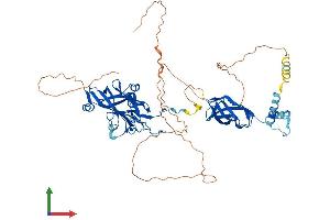 AlphaFold protein structure predicition of Human Recombinant EBF3 Protein, UniprotID Q9H4W6