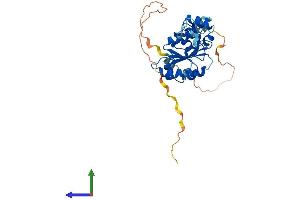 AlphaFold protein structure predicition of Human Recombinant ERCC1 Protein, UniprotID P07992 (ERCC1 Protein (AA 1-297) (His tag))