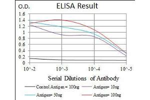 ELISA image for anti-Neurofilament Triplet M Protein (NEFM) (AA 381-443) antibody (ABIN2683002)