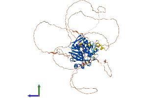Protein Structure (PS) image for Germ Cell Associated 2 (Haspin) (GSG2) (AA 1-798) protein (His tag) (ABIN7554075)