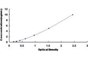 Typical standard curve (EPYC ELISA 试剂盒)