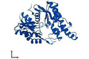 AlphaFold protein structure predicition of Human Recombinant OSGEP Protein, UniprotID Q9NPF4