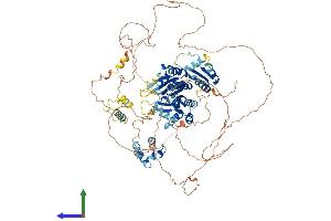 Protein Structure (PS) image for Bicaudal C Homolog 1 (BICC1) (AA 1-974) protein (His tag) (ABIN7552805)