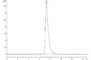 The purity of Human TNFRSF19 is greater than 95 % as determined by SEC-HPLC.